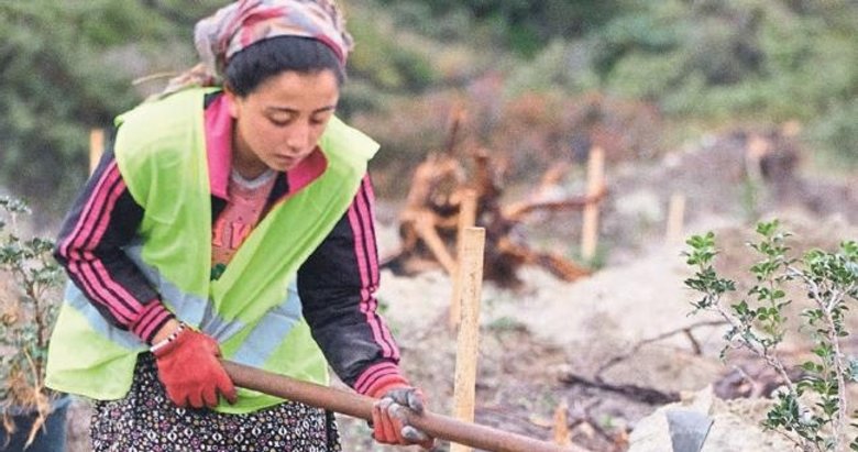 Sakız ağacı, Çeşmeli kadınların gelir kapısı