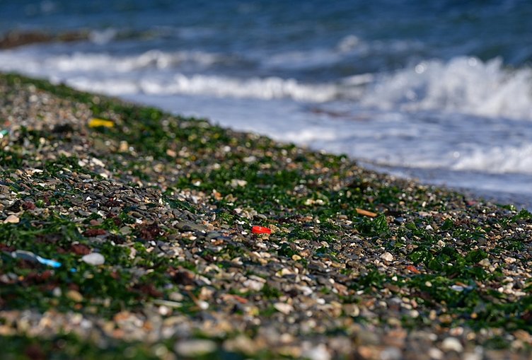 İzmir Körfezi’ndeki çalışmalar tamamlandı! Aşırı kirliliğinin 4 mevsim sürdüğü belirlendi