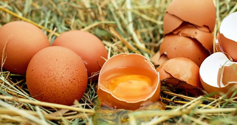 Yumurta ve tavuk eti üretiminde artış