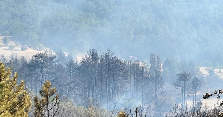 Uşak’taki yangına havadan karadan müdahale ediliyor