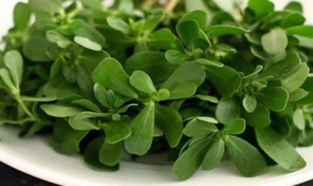 Pirpirim otunun faydaları nelerdir? Pirpirim otu ne işe yarar?