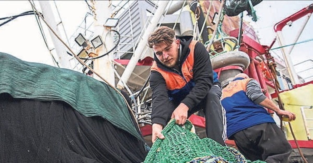 Ege'de balıkçılar sezonu bereketiyle kapatacak