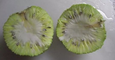 Bir meyve düşünün ekmek gibi: Breadfruit nedir? Ekmek ağacı meyvesinin faydaları!