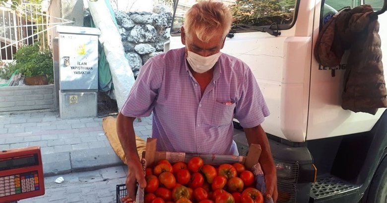 100 yıllık ata tohumu ile yerli domates üretiyor