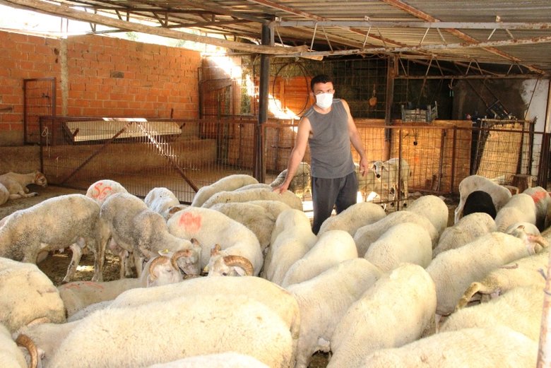 Kurban pazarlığında tokalaşma devri bitti, iple pazarlık başladı