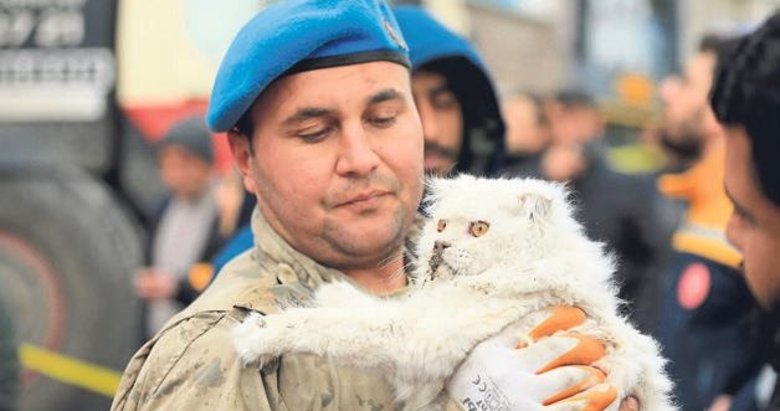 Diyarbakır’da kediyi göçükten çıkardılar