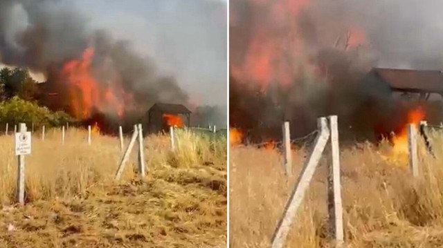 İzmir’de tarım arazisindeki yangında 8 ev zarar gördü