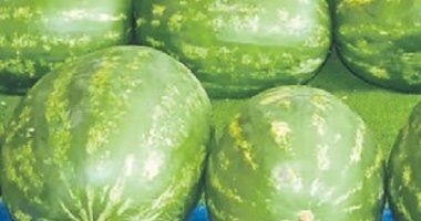 İran karpuzları Manisa pazarında