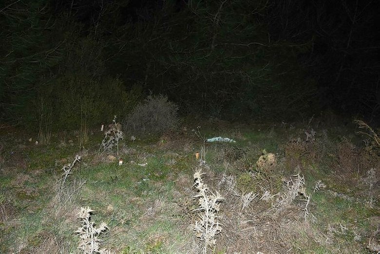 İzmir’de korkunç cinayete kurban giden Ayşe Nazlı’nın son paylaşımı dikkat çekti