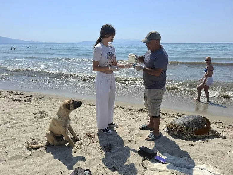 Aydın’da üzen görüntü! 3 caretta caretta ölü bulundu