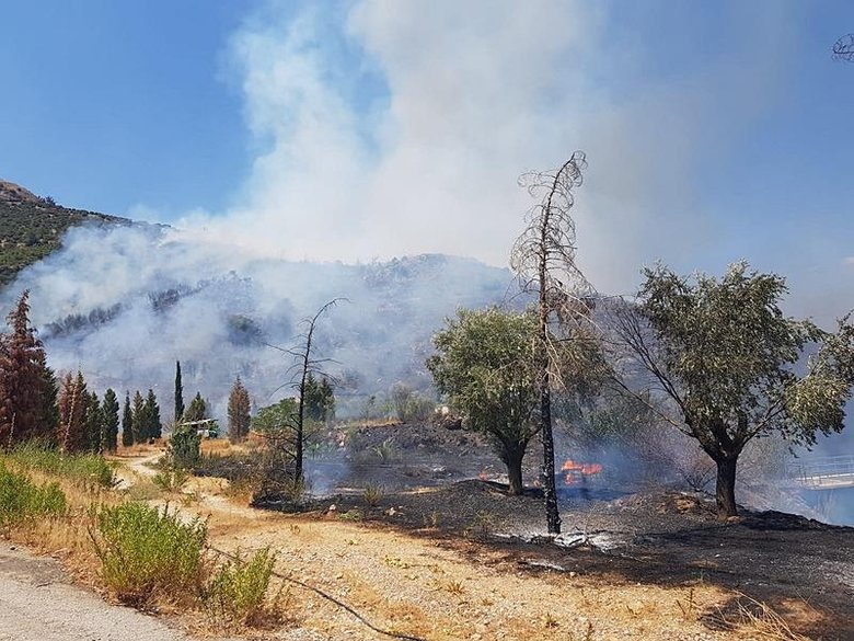 İzmir Selçuk’ta orman yangını