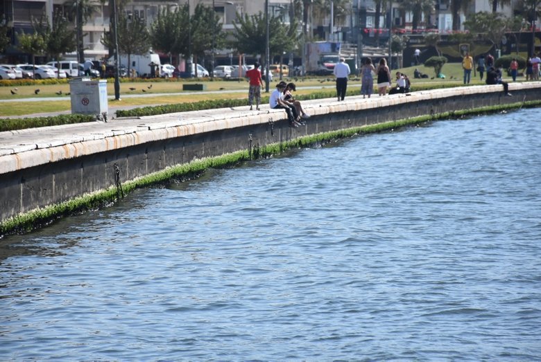 Uzman isim açıkladı: ’İzmir Körfezi’nde yüzmek için...’