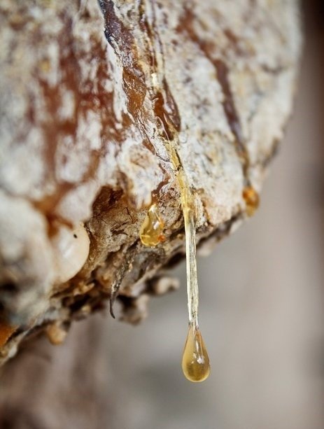 Bu besin ile 15 günde içinde 10 kiloya kadar verebilirsiniz! İşte zayıflatan mucize yöntem