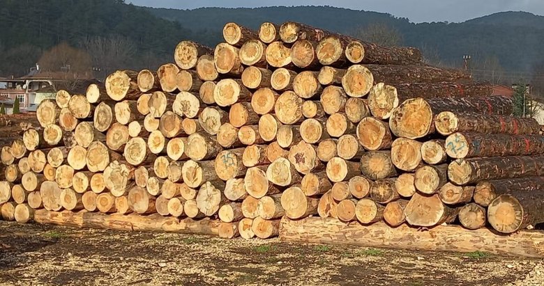 Orman emvali veya odun dışı ürünleri taşıma belgesine dair esaslar belirlendi