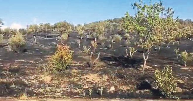 Matematik Köyü’nde kahreden yangın