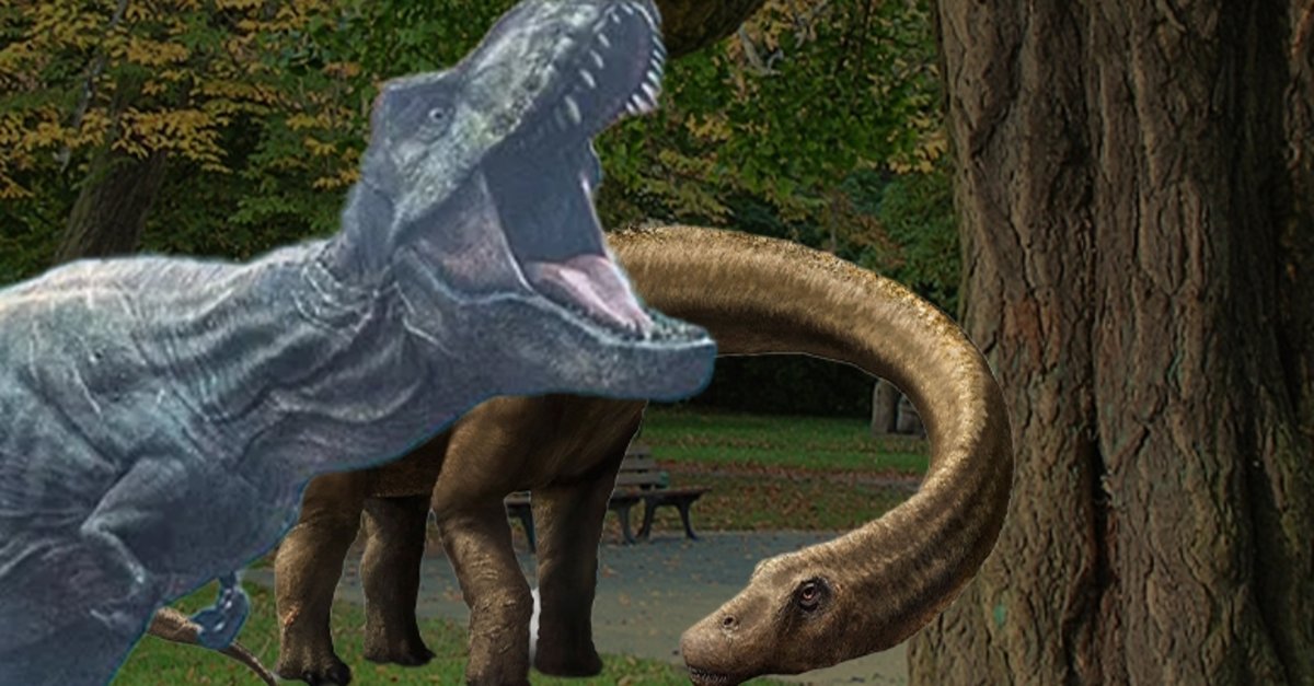 Dinozorlar bile yok oldu ama o hala ayakta! Dünya onu Yaşayan Fosil olarak biliyor! 200 milyon yıllık Gingko Biloba Mabet Ağacı faydalarıyla şaşırtıyor!