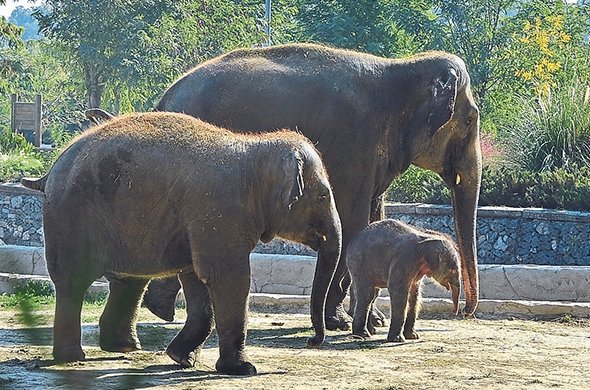 İzmir’de çocukla vakit geçirilecek 10 yer