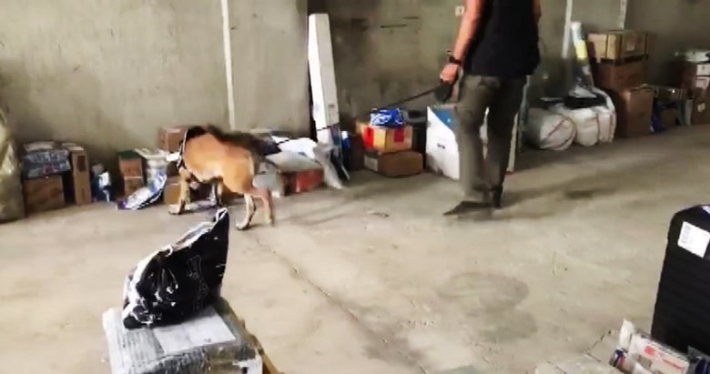 Kargo ile uyuşturucu sevkiyatına operasyon