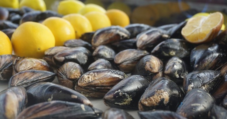 Türkiye’de midyelerin yüzde 91’i plastikli