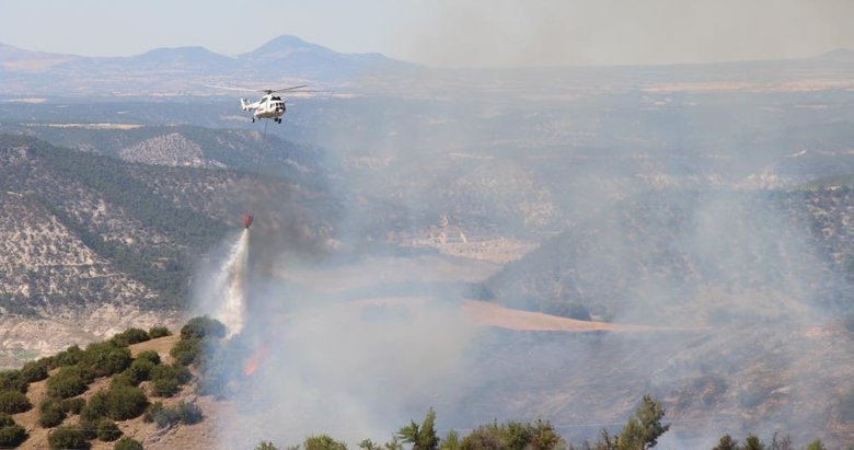 Denizli’de makilik alanda çıkan yangın 20 hektar alana zarar verdi