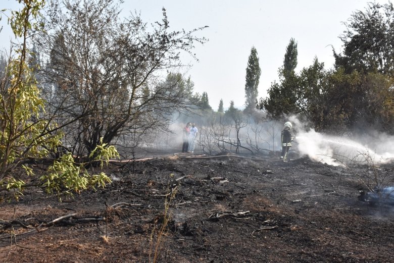 Muğla’da alevlerin ortasında kalan yaşlı adam öldü