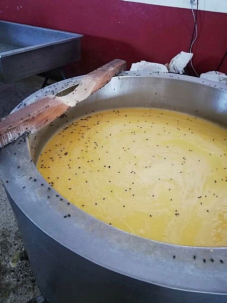 Kaşar peyniri imalathanesinde iğrenç görüntü!