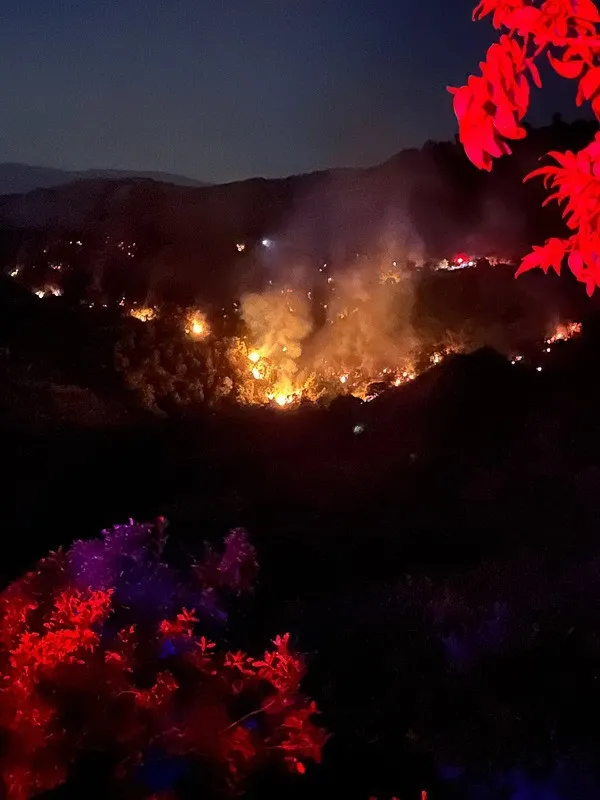 son-dakika-izmirde-korkutan-orman-yangini-1784840869728.jpeg