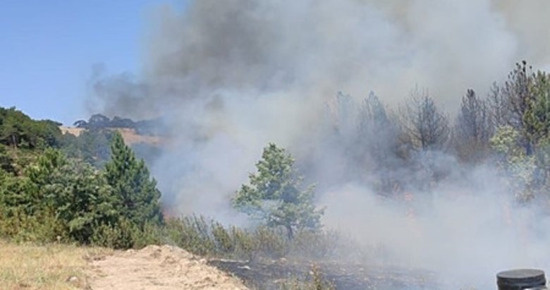 Balıkesir’de orman yangını! Çok sayıda ekip sevk edildi