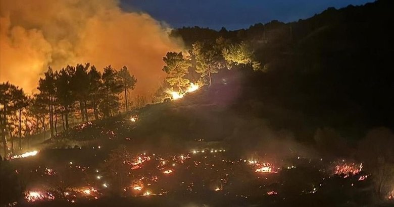 Muğla’da 2 bin 403 hektar alan yandı