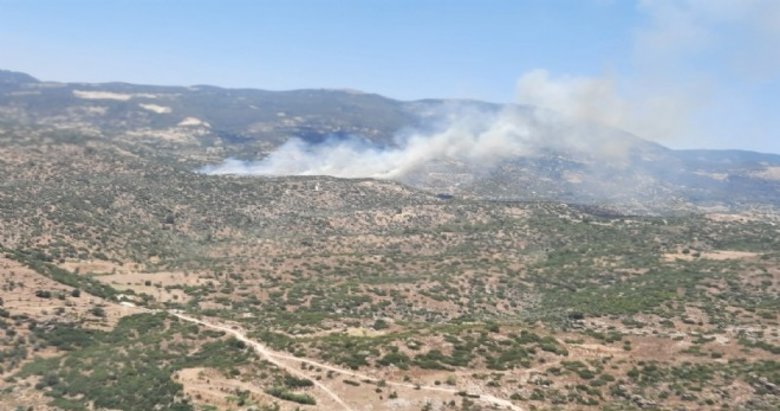Aydın’da yangın! Havadan ve karadan müdahale ediliyor