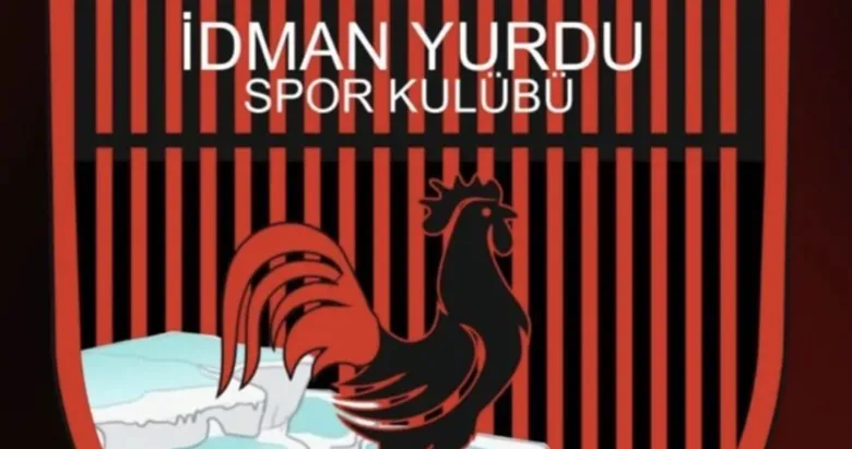 Denizli IY: 0 Bursa Yıldırım:2