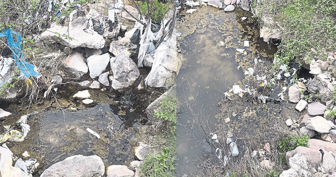 karsiyaka belediyesi cevreyi katletti izmir haberleri