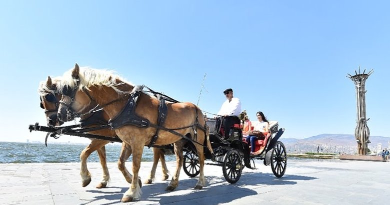 İzmir’in güzel atları Ankara’da kobay oldu