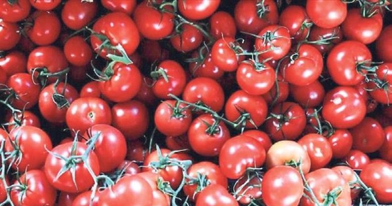 Yaş sebze ve meyve ihracatında yükseliş başladı