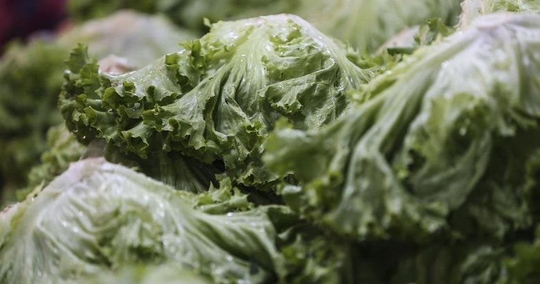 Şubatta en fazla kıvırcık salata fiyatı arttı