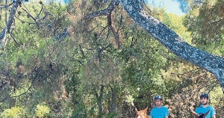 Milli Park’a izinsiz girenlere ceza kesildi