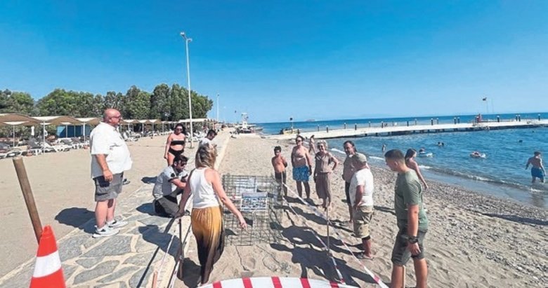Caretta caretta yuvaları koruma altına alındı