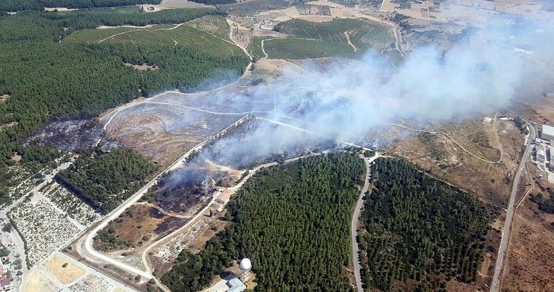 İzmir Gaziemir’de orman yangını