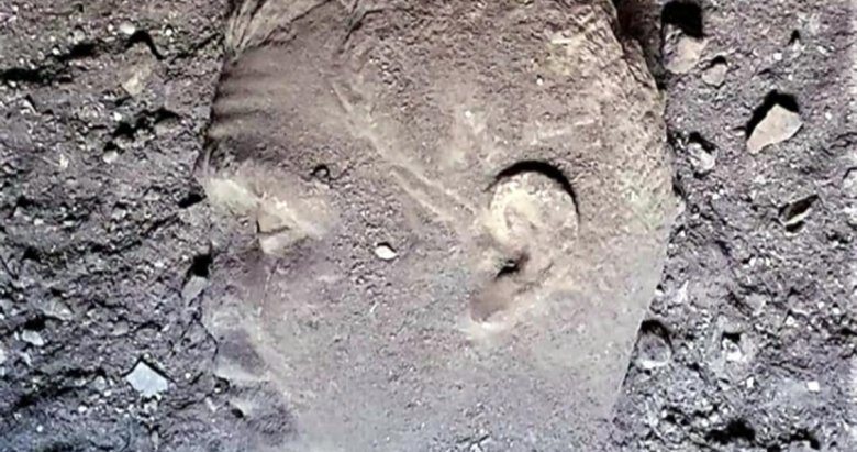 Datça’da 2 bin yıllık mermer heykel başları bulundu! Helenistik ve Roma dönemlerine ait