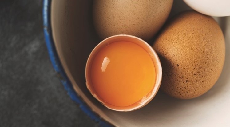Yumurtanın vücuda faydaları nelerdir?