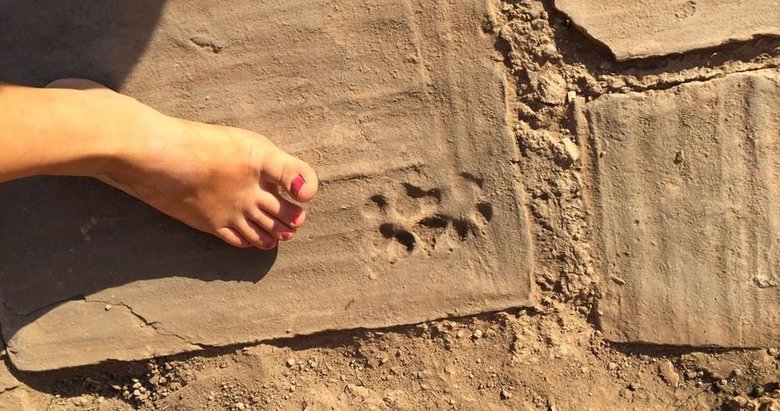 Manisa’daki antik kentte bulunan bin 500 yıllık evde pati izleri ve duvar illüzyonları bulundu