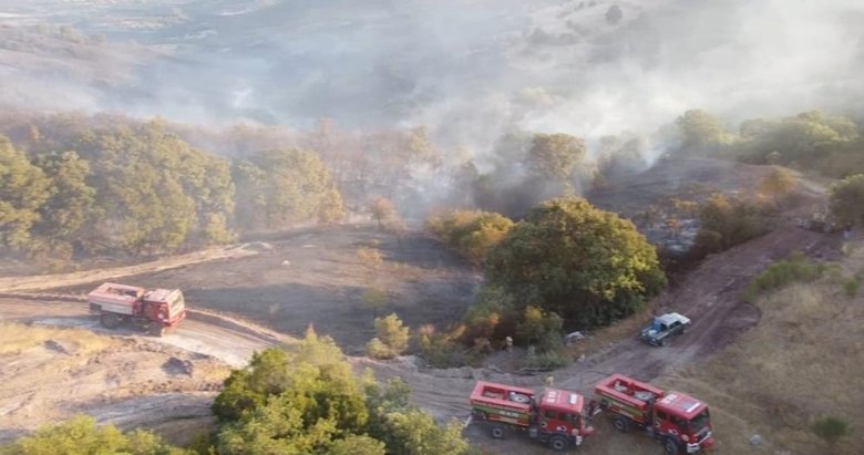 Balıkesir’de çıkan orman yangını 13 saat süren mücadele sonucunda kontrol altında