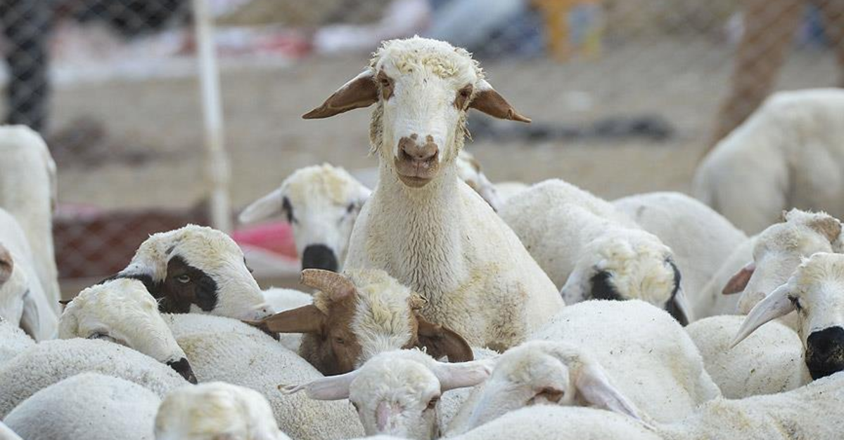 Tarımda yeni teşvik kapısı