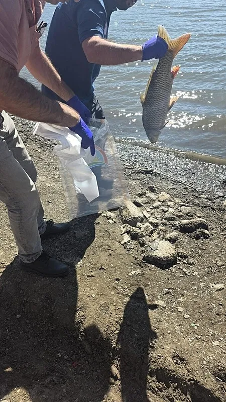 Çanakkale’de, Atikhisar Barajı’nda inceleme başlatıldı!