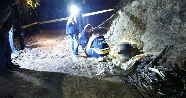 Odun toplarken feci şekilde can verdi