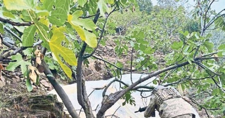 Jandarma komandoları cani babanın peşinde