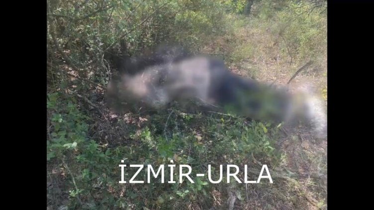 İzmir’de kardeşini öldüren katil ağabey, Sırbistan’da yakalandı