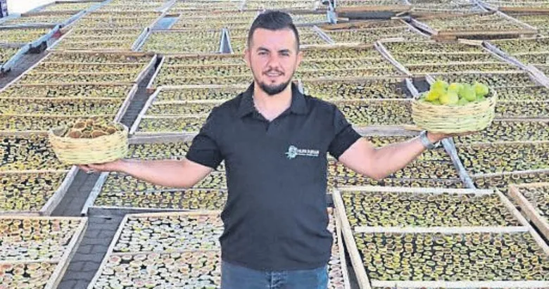 İncir cipsi dünya yolunda