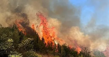Balıkesir’in 2 ilçesinde alevlerle mücadele!
