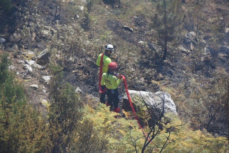 ’Yeşil Vatan’ için canla başla mücadele ediyorlar: Alevlerle savaşan kadınlar